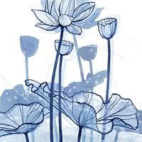 Lotus Delftsblauw 03