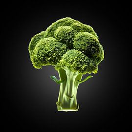 Broccoli on black background by Everards Photography