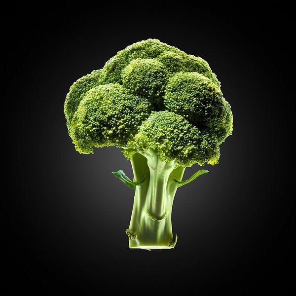 Food-Broccoli op zwarte achtergrond van Everards Photography