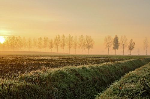 Ochtendmist met zonsopkomst