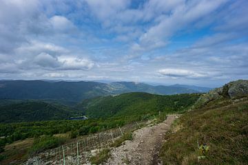 Frankrijk - Wandelpad met hek op top van berg grand ballon in franse vogezen van adventure-photos