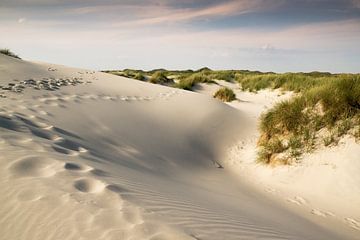 Amrum sur Reiner Würz / RWFotoArt