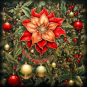 Euphorbia pulcherrima, traditionelle Weihnachtspflanze