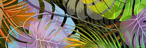 TROPICAL LEAVES COMBO-4-P3