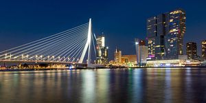 ROTTERDAM Pont Erasmus de nuit | Panorama