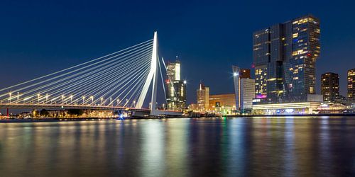 ROTTERDAM Erasmusbrug bij nacht | Panorama
