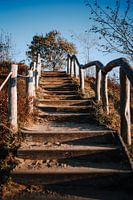 Steps on the hiking trail along the Teufelsmauer in the Harz Mountains.