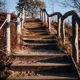 Stufen auf dem Wanderweg entlang der Teufelsmauer im Harz. von Katrin Friedl Fotografie