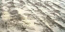 tracks by Stefan Havadi-Nagy