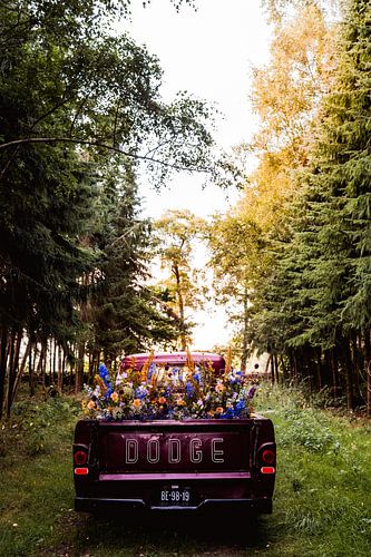 Dodge Ram Pick-up full of flowers