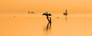 Lueur orange