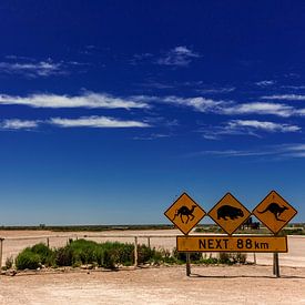 Straßenschilder am Beginn der Nullarbor Road, einer Straße durch die Leere des südlichen Australiens von Coos Photography