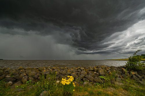 Onweer boven Schokkerhaven