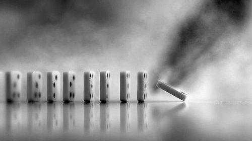 Domino van Anne Seltmann