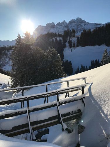 Dents du Midi with bridge