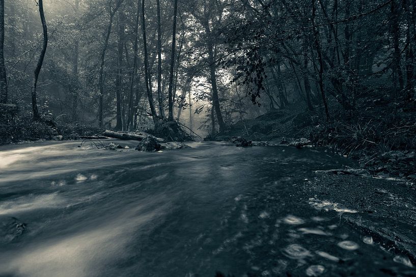 Mist in het bos... van Jacqueline Lemmens