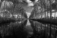 Reflections canal de Damme par Werner Lerooy Aperçu