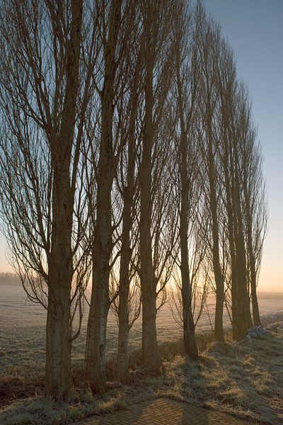 Morning sun in the countryside by Egon Zitter