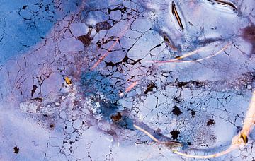 IJzerbacteriën kunst van Danny Slijfer Natuurfotografie