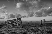 Sunset at polderscape Black & White