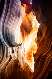 American West - Antelope Abstract Shapes