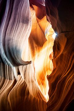 American West - Antelope Abstract Shapes von Philippe HUGONNARD