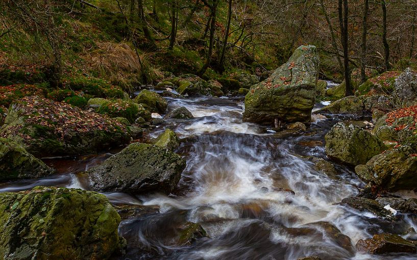 La Hoëgne by Mike Broers
