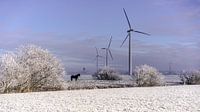 Stilstaande windturbines van Maarten Drupsteen thumbnail