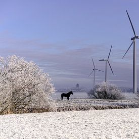 Stilstaande windturbines van Maarten Drupsteen