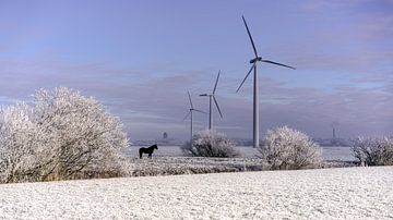 Stilstaande windturbines van Maarten Drupsteen