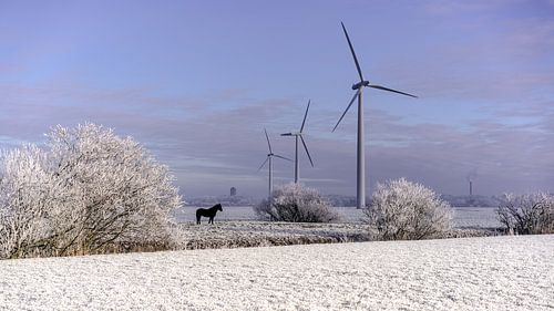 Éoliennes stationnaires sur Maarten Drupsteen