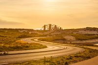 Coude sur la Maasvlakte