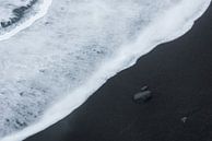 Yin Yang by Loulou Beavers thumbnail