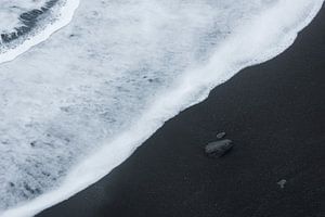 Yin Yang sur Loulou Beavers