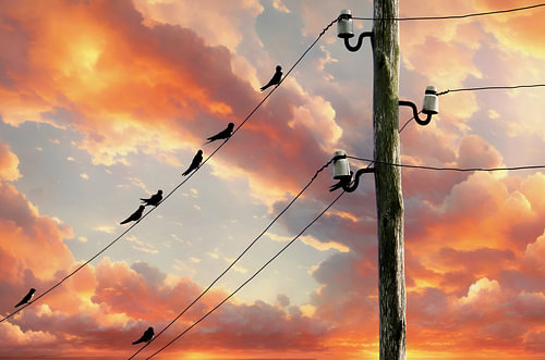 Les hirondelles profitent du coucher de soleil sur Jack Schoneveld