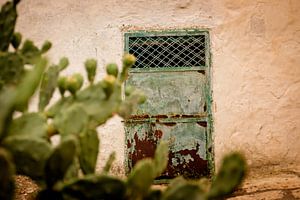 Une vieille porte et un cactus sur Gonnie van Roij