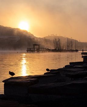 Sonnenaufgang am See mit Nebel und einem Bootssteg