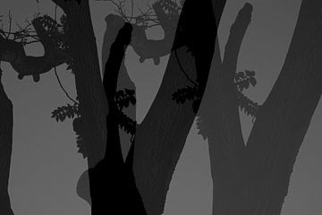 CONNECTED by Miroslav Ptacek