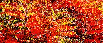 Azijnboom met prachtig gekleurd herfst gebladerte mixed media van Werner Lehmann