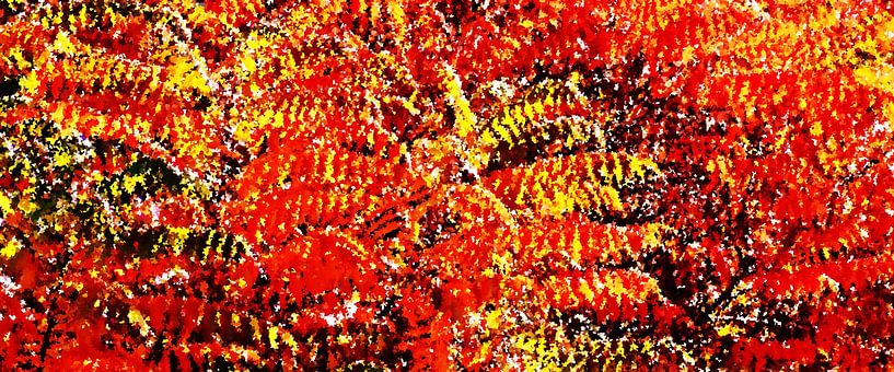 Azijnboom met prachtig gekleurd herfst gebladerte mixed media van Werner Lehmann