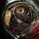 The Space Parrot in my dreams part three van Rudi Lippi thumbnail