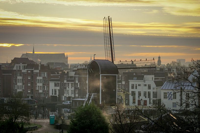 Mühle de Put Leiden von Dirk van Egmond
