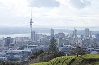 Auckland skyline van Inge Teunissen thumbnail