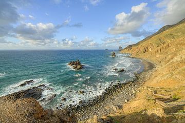 Tenerife Playa de Benijo van Michael Valjak