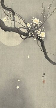 Plum blossom and full moon of Ohara Koson