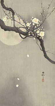 Pflaumenblüte und Vollmond des Ohara Koson