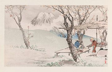 Takeuchi Seihō - Seihō jūni Fuji, Pl.03 (1894) sur Peter Balan