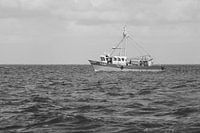 TX 24 Heliomare