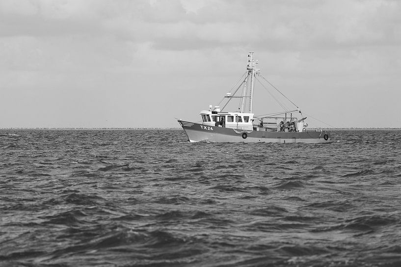 TX 24 Heliomare by Mighuel Geutskens