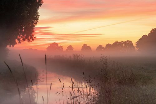 Mist tijdens zonsopkomst.
